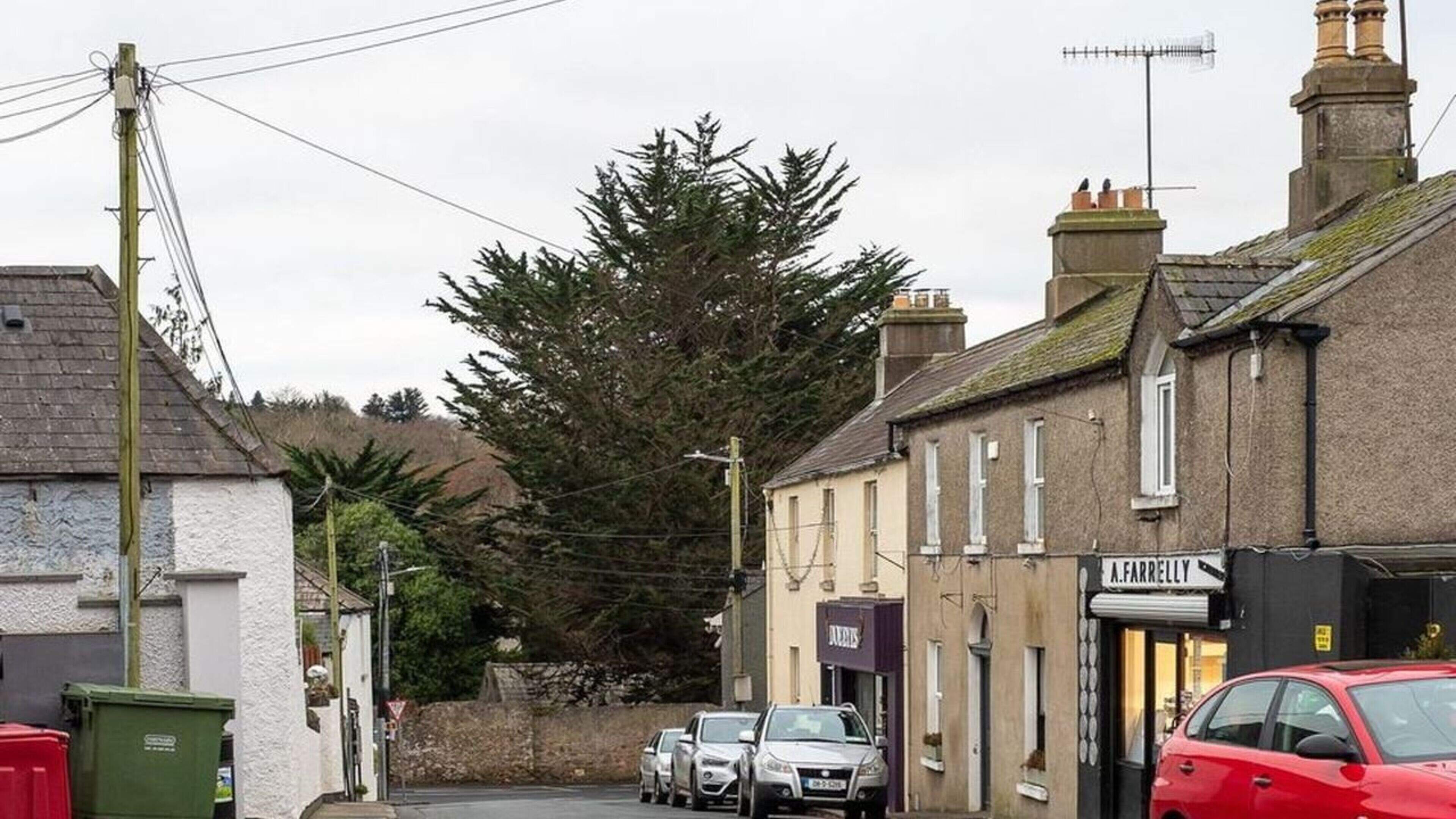 Five-year plan unveiled to manage rapid growth and protect historic Wicklow village’s identity